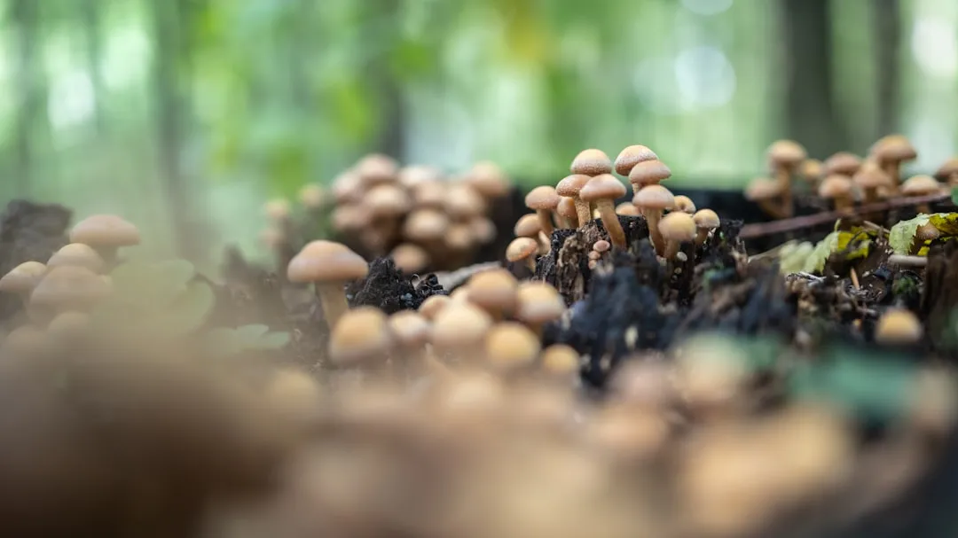 不锈钢保温杯与运动水壶材质工艺对比及适用场景分析
