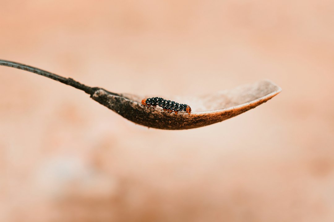 咖啡杯与玻璃杯材质对比：耐热性与密封性分析